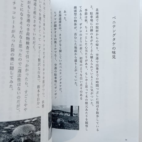 玉置標本｜実家の猫が懐かない