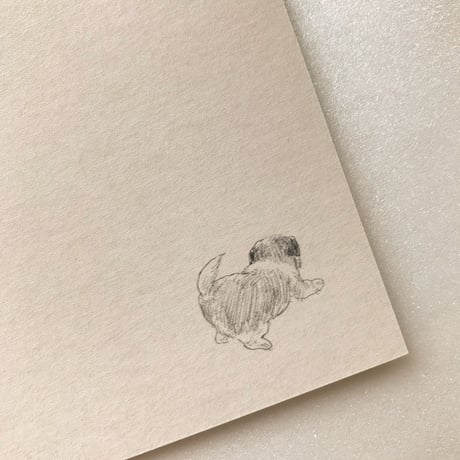 イケガミヨリユキ | 絵葉書haruhi