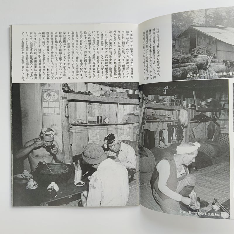 村と森林 | POPOTAME Books & Art