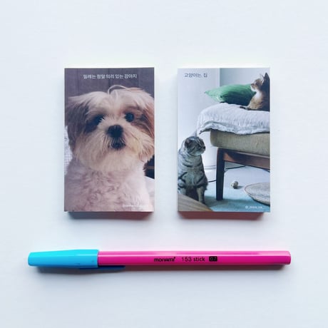 SSW｜ミレは本当に義理堅い子犬