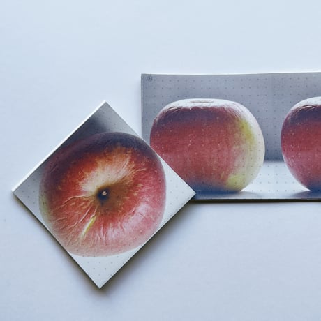Ke Xu 许珂、Yue Zhou 周玥｜36 Apples