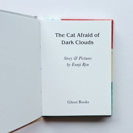リュ・ウンジ｜The Cat Afraid of Dark Clouds