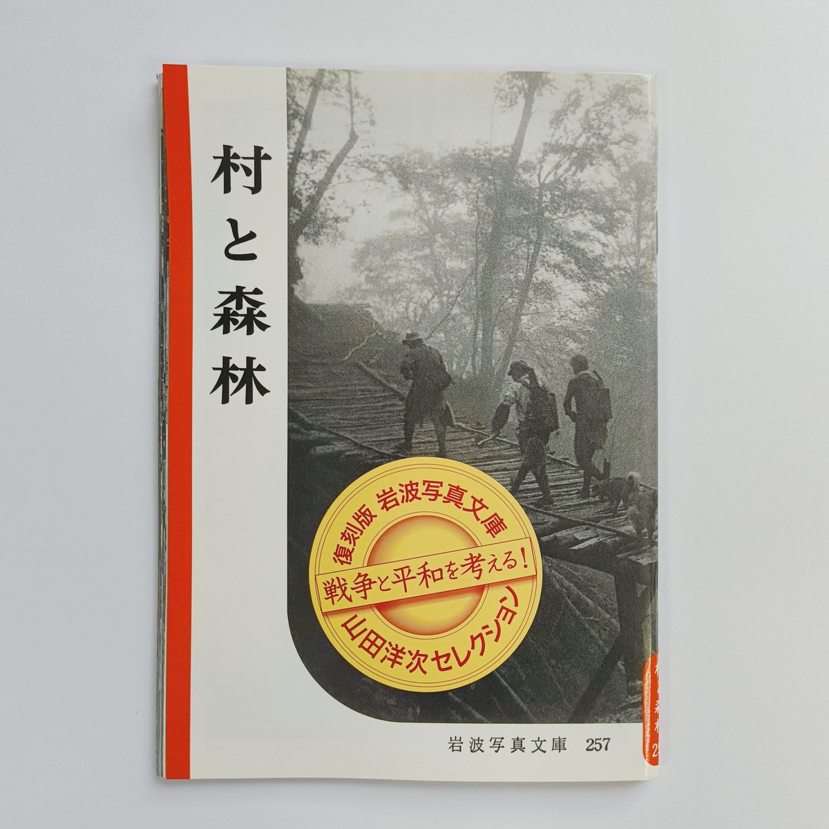 村と森林 | POPOTAME Books & Art