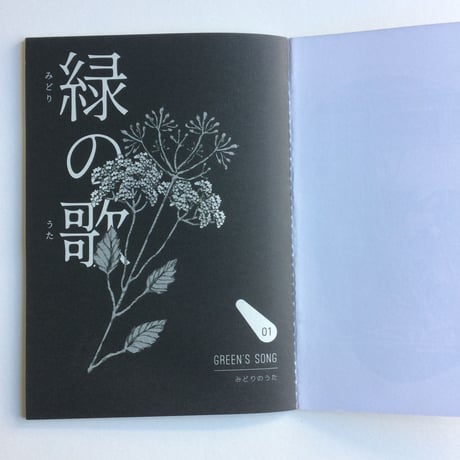 高妍『緑の歌』