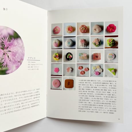 ideallife with plants 〜 植物はたのしい。〜「植物とおまじない」