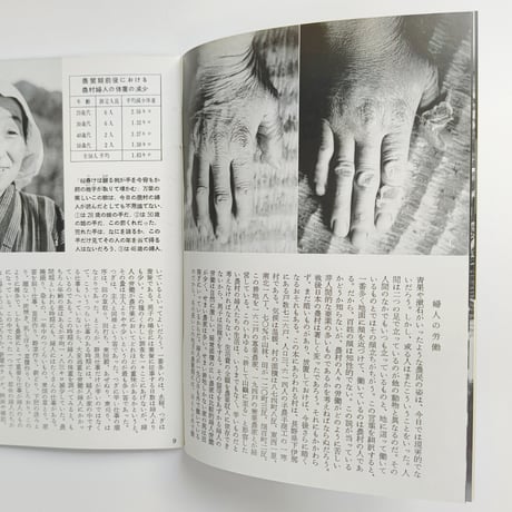 農村の婦人 —南信濃の—