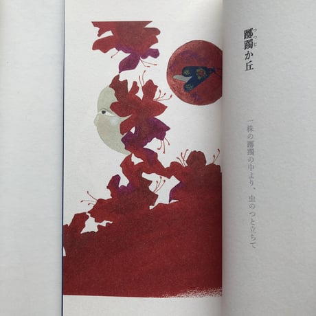 【サイン入】泉鏡花 著 武藤良子 挿絵『龍潭譚』（別冊付）