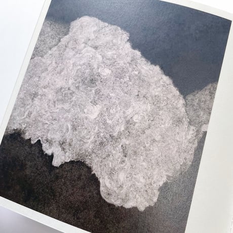 柴田高志/ Mount Analogue