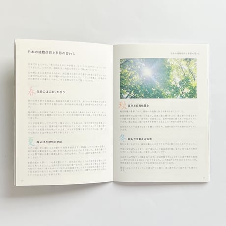 ideallife with plants 〜 植物はたのしい。〜「植物とおまじない」