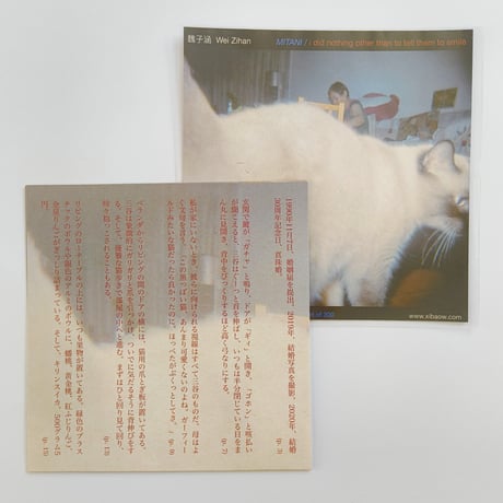 Wei Zihan｜Mitani / I Did Nothing Other Than to Tell Them to Smile