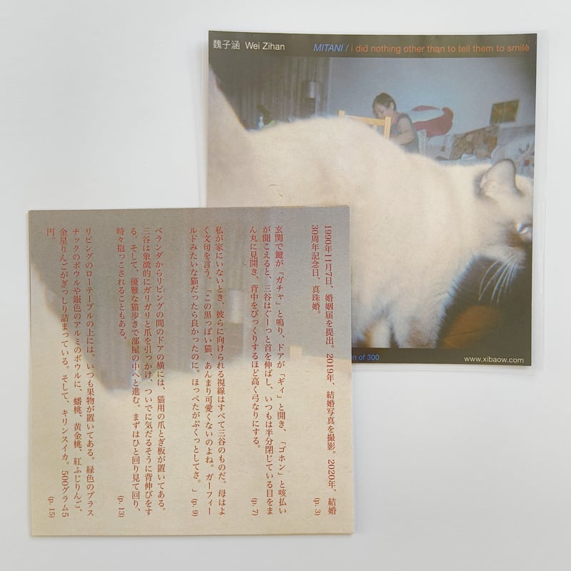 Wei Zihan｜Mitani / I Did Nothing Other Than to