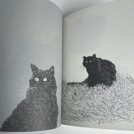 Tonnyapar's Cats Art 2｜WHITE & BLACK