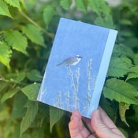 ビョン・ヨングン｜BIRD