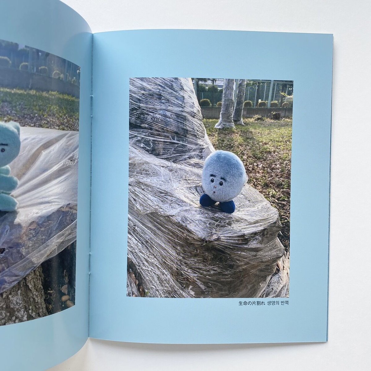 片岡メリヤス『카타오카 메리야스2023』フォトブック For MIDOPA