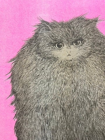 Tonnyapar｜リソグラフポスター | POPOTAME Books & Art