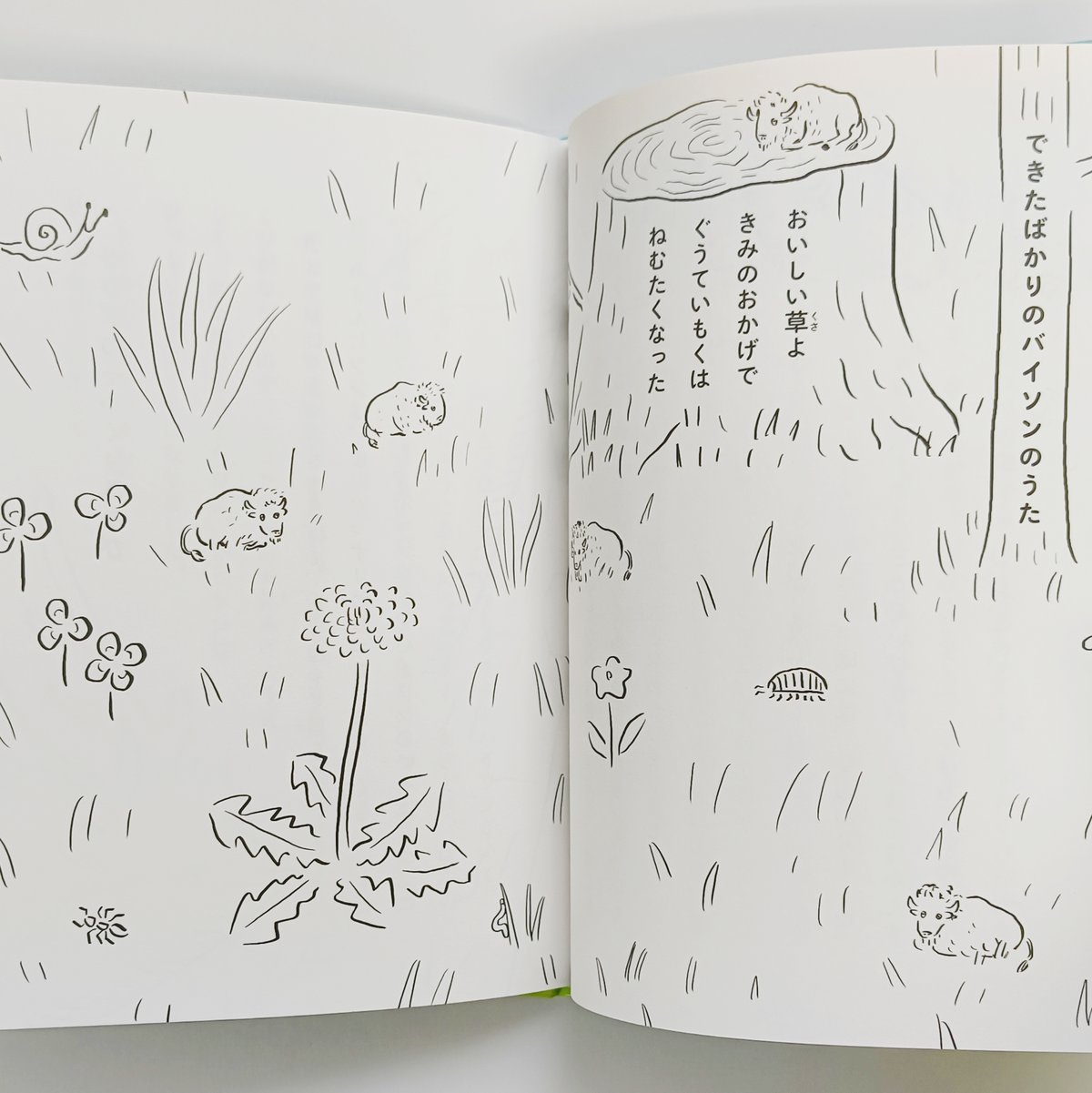 Wサイン入り】小島敬太・鬼頭祈 ｜あくびなかまとはらっぱで