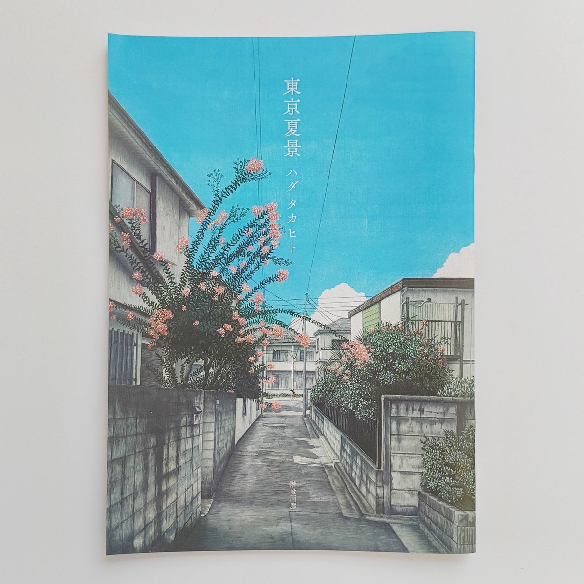 ハダタカヒト｜東京夏景 | POPOTAME Books & Art