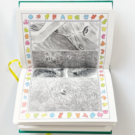 野良洞｜The Watermelon The Three Moths The Glass Land