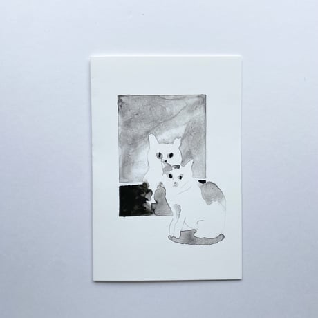 Window Collector | グリーティングカード（窓辺の猫）