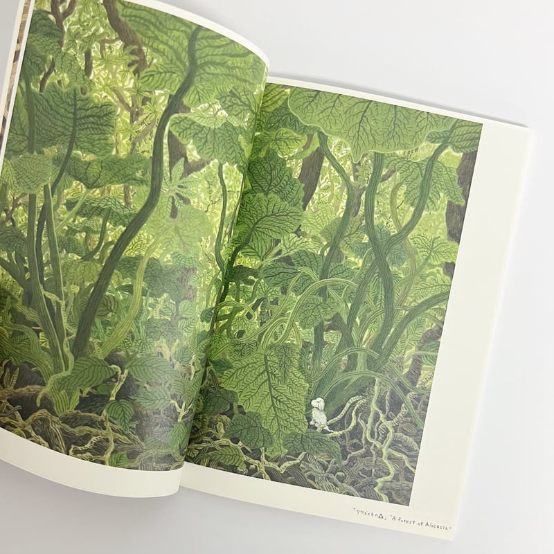 サイン入】中村雅奈｜GREEN SHELTER | POPOTAME Books & Art