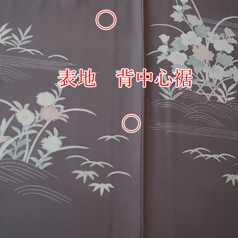 夏・絽】鳩羽鼠色 波と夏花文 絽附下げ ゆとりサイズ | 大山