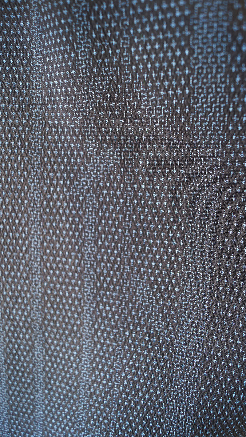 単衣】塩沢お召 横段植物の絣模様 黒 単衣着物 6KB2