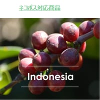 インドネシア　オナンガンジャン　100g