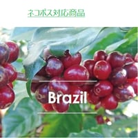 ブラジル  　マカウバ・デ・シーマ　100g