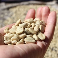 コーヒー豆の保存の仕方