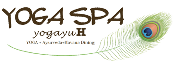 YOGA SPA yogayuH