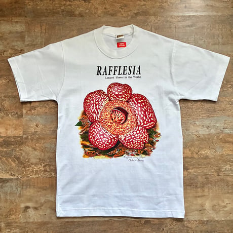 ラフレシア | STORES