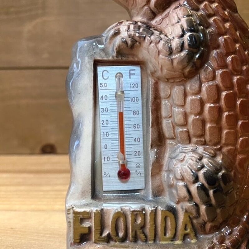 Alligator Ceramic Thermometer/ワニの陶器製温度計/220828−