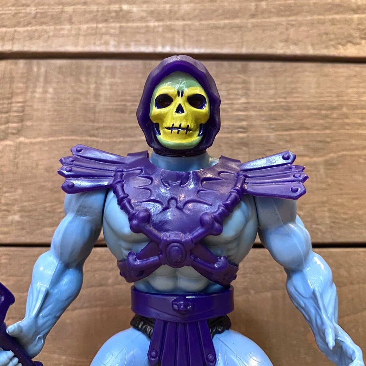 MOTU Skeletor Figure/マスターズオブザユニバース スケルター