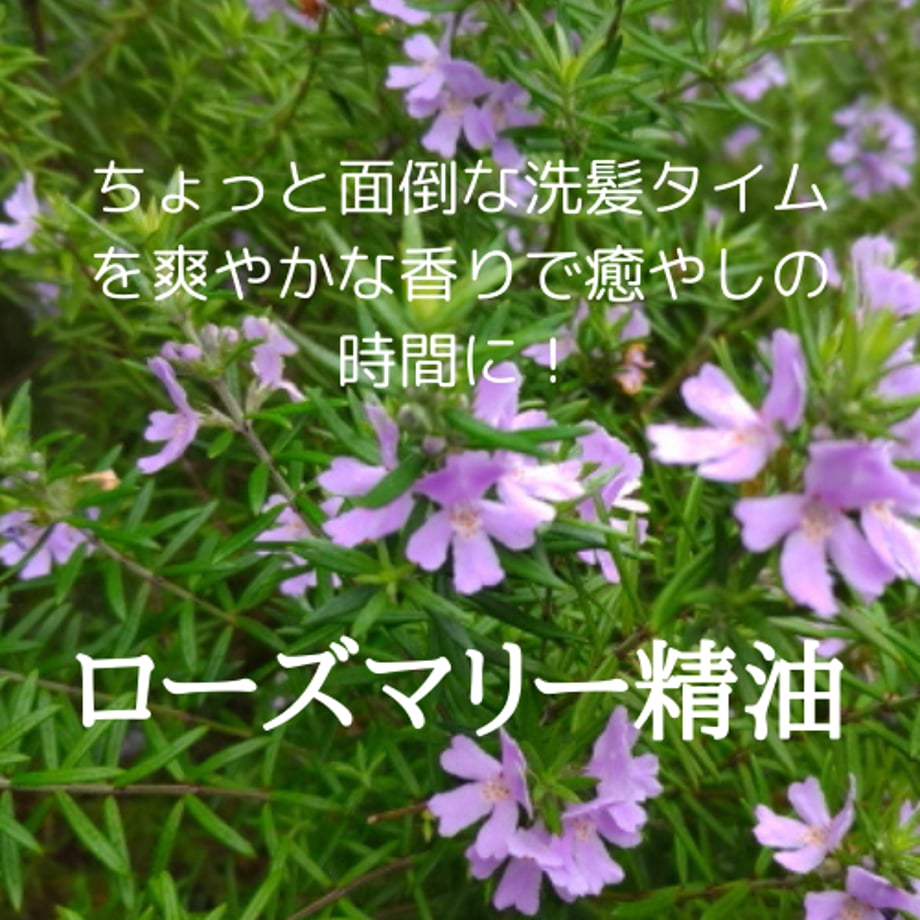 69195508e4ecdd119d405354