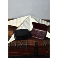 CARD CASE -chrome excel-
