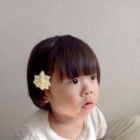 ｜ヘアピン コットンベルベット  ギフトリボン