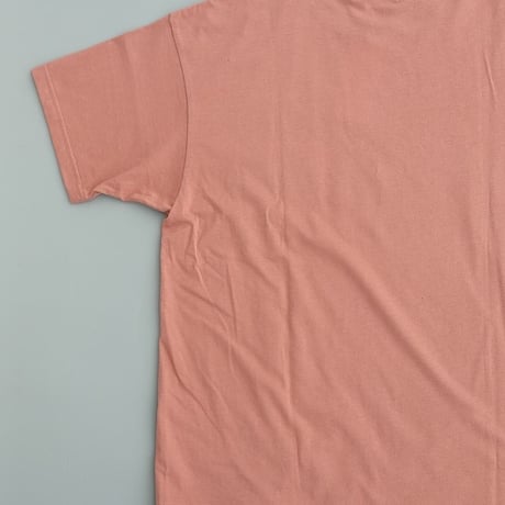 another 20th century(アナザートゥエンティースセンチュリー)　　 USSF Boyscout - T sports 　　　Dark Salmon