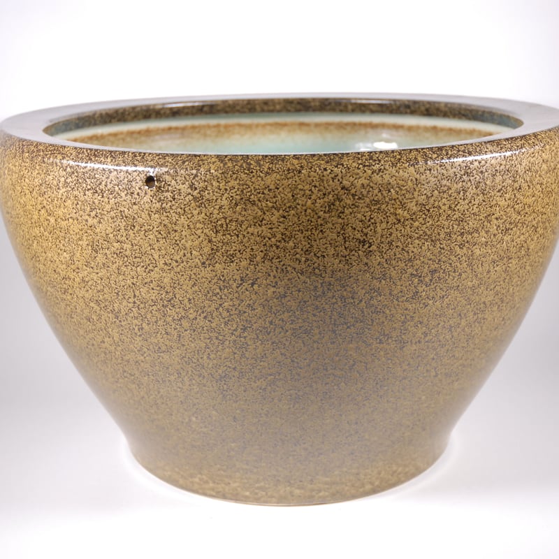 金ソバ深型水鉢 15号 （信楽焼・陶器・水鉢・めだか鉢・メダカ鉢・睡蓮