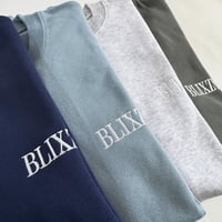 BLIXZY TRAINER