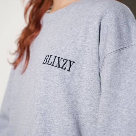 BLIXZY TRAINER