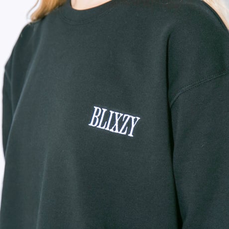 BLIXZY ブライジー まとめ売り BLIXZY ブライジー まとめ売り