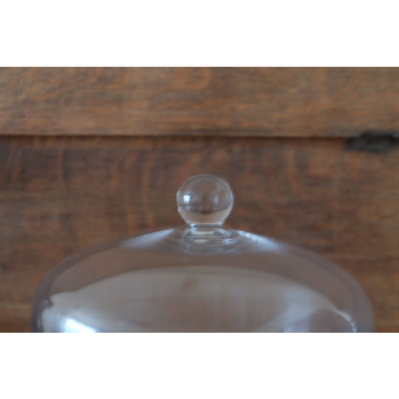 krank ガラスドーム サーカスドーム／コンポート – 夏椿／商品帖