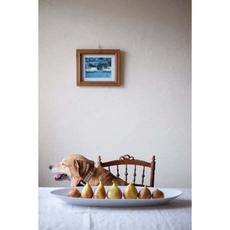 France ピリヴィッツ　ロングオーバルプレート   44.5cm
