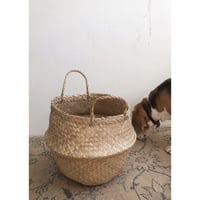 バスケット