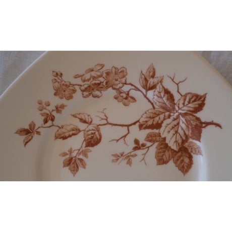 小鳥の絵のオクトゴナルプレート フランボワーズ・brown