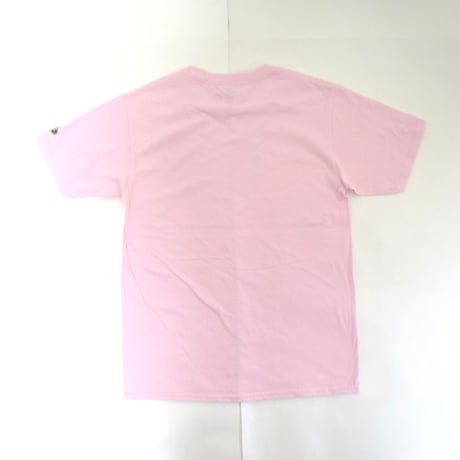 「インコピアノ/シンセサイザー」鳥ツアーTシャツ  ピンク　S/M/L　WATERFALLオリジナル