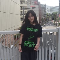 「インコピアノ/シンセサイザー」鳥ツアーTシャツ  ブラック　S/M/L　WATERFALLオリジナル