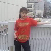 「インコピアノ/シンセサイザー」鳥ツアーTシャツ   2024SS 新色 レッド S/M/L WATERFALL