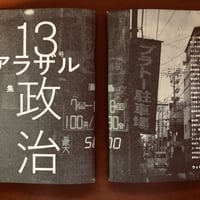 アラザル VOL.13「特集 政治」（税抜き版）