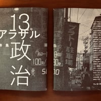 アラザル VOL.13「特集 政治」（税込み版）